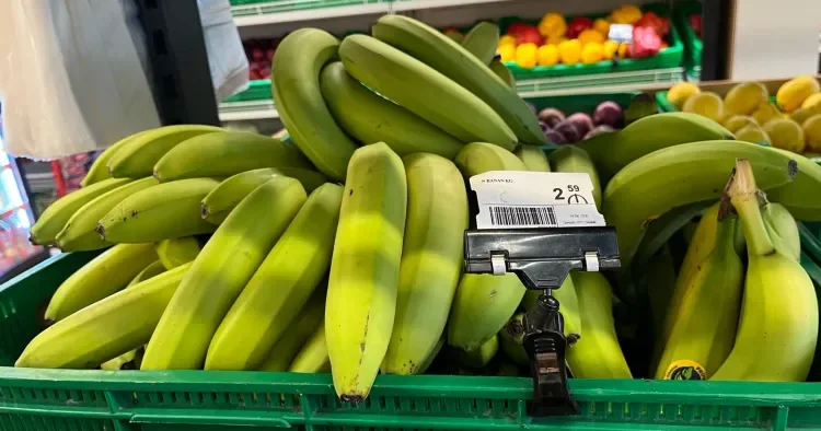Bananları niyə yetişməmiş halda satırlar? SƏBƏB AÇIQLANDI