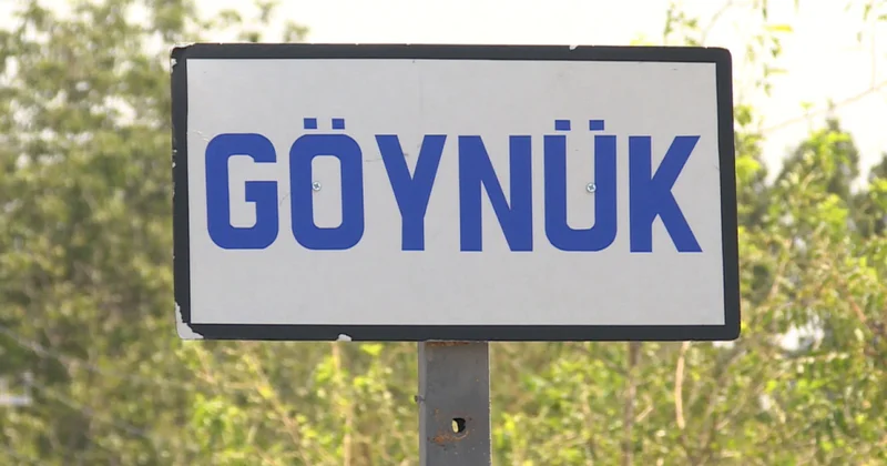 Şəkidə ölümlə nəticələnən yol nəqliyyat hadisəsi baş verib