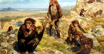 Efiopiyada yeni avstralopitek növünün dişləri tapılıb...