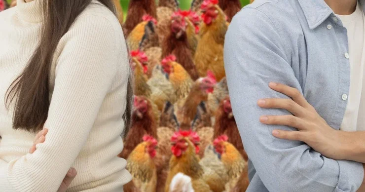 Ər arvad boşanma zamanı məhkəmə yolu ilə toyuqları böldülər