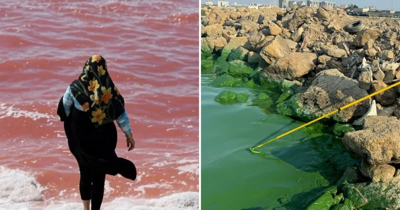 Böyükşor yaşıla, Urmiya qırmızıya boyandı Müharibə, yoxsa təbiətin xəbərdarlığı?