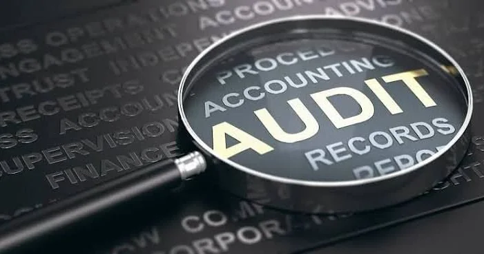 “Dövlət auditi” sisteminin yaradılması nə vəd edir? AÇIQLAMA