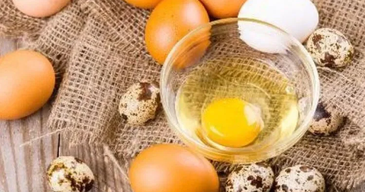 Yumurtanın xarab olduğunu belə müəyyən etmək olar