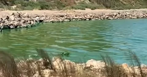 Böyükşor gölündə suyun yaşıl rəng almasının səbəbi müəyyənləşdirilib