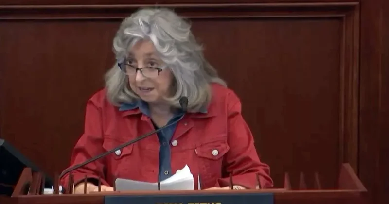 Дина Титус: угрожала Азербайджану санкциями, а попалась на пожертвованиях Следы ведут к Бобу Менендесу