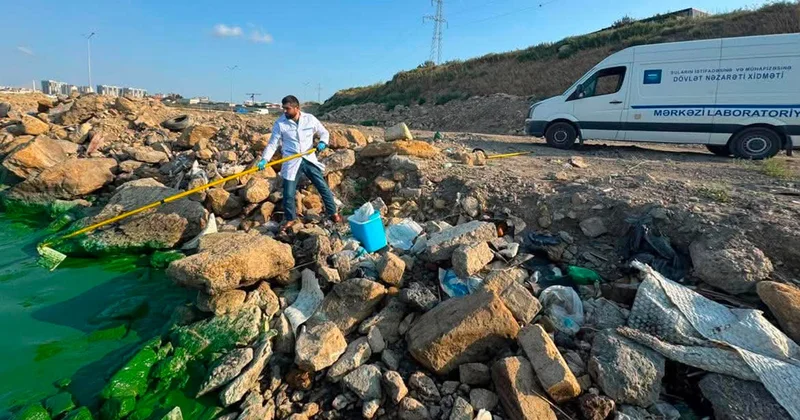 Böyükşor gölünün yaşıla bürünməsinin səbəbi Açıqlandı