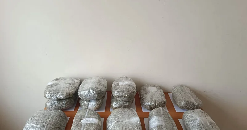 Yanvar iyul aylarında 6 tondan çox narkotik dövriyyədən çıxarılıb