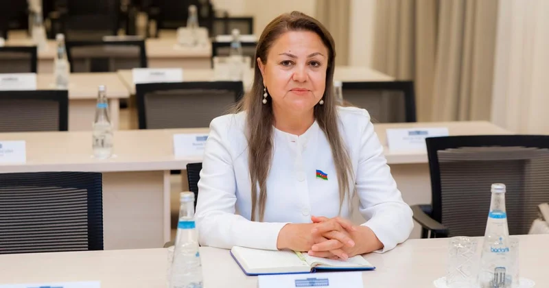Prezidentin Naxçıvana səfərinin tarixi siyasi əhəmiyyəti və mədəni irsə töhfəsi ŞƏRH