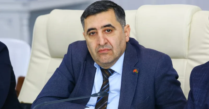 Naxçıvan Cənubi Qafqazın gələcək regional inkişafı baxımından mühüm rol oynaya bilər