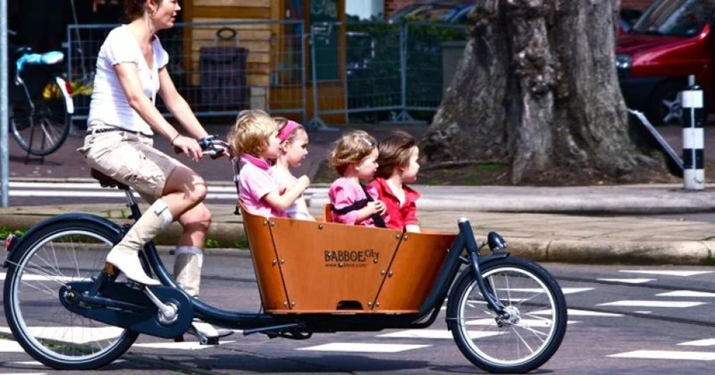 В Нидерландах рождается слишком мало детей