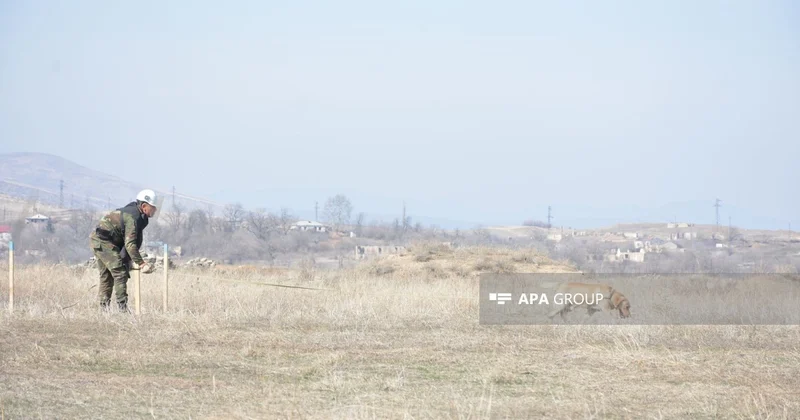 Azad edilmiş ərazilərdə daha 132 mina, 614 PHS aşkarlanıb
