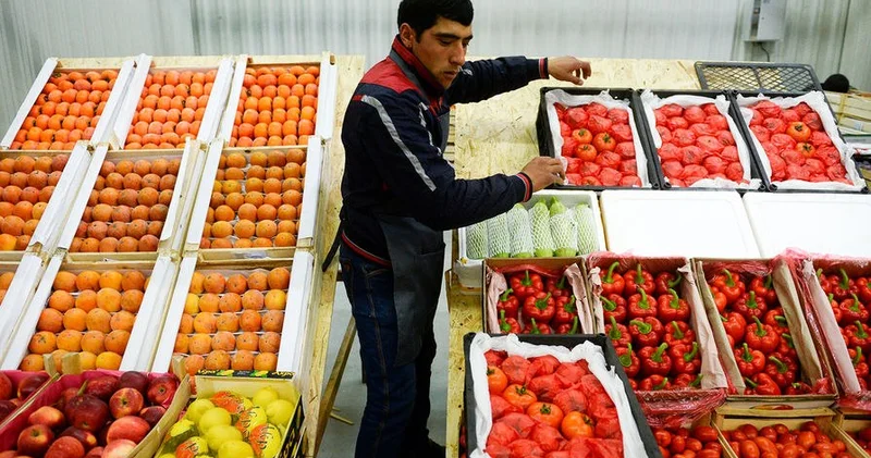 Avropa Ermənistan üçün Rusiya bazarını əvəz edə bilmədi Erməni ekspertin rəyi