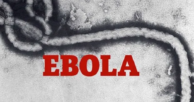 Epidemiya yayılır: hər 30 dəqiqədə bir ölüm