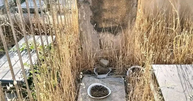 Tanınmış rəssamın məzarı acınacaqlı durumda Nazirlikdən açıqlama FOTO
