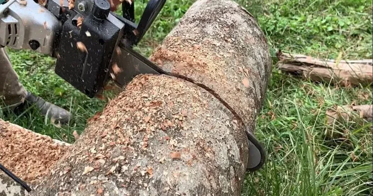 Ağac kəsirdi, laqonda ilə öz boğazını kəsib öldü