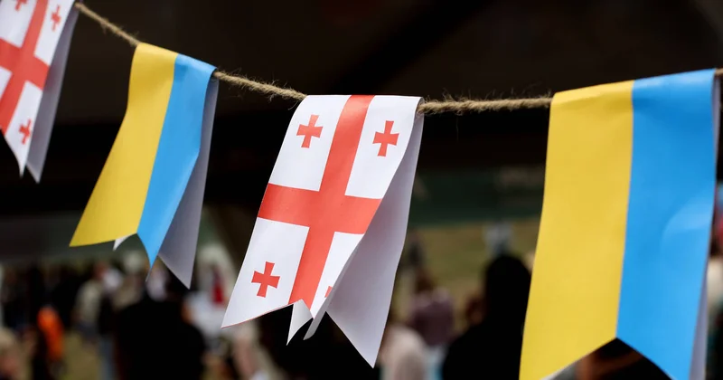Грузия потребует ответа от Украины Minval Politika