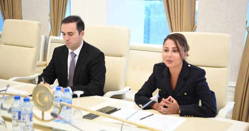Milli Məclisdə səfirlə görüş FOTOLAR