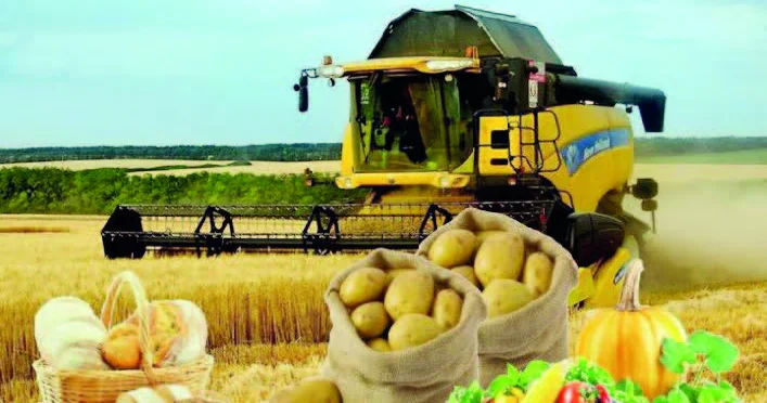 Kənddə məhsul bolluğuna hərtərəfli təminat yaradılıb