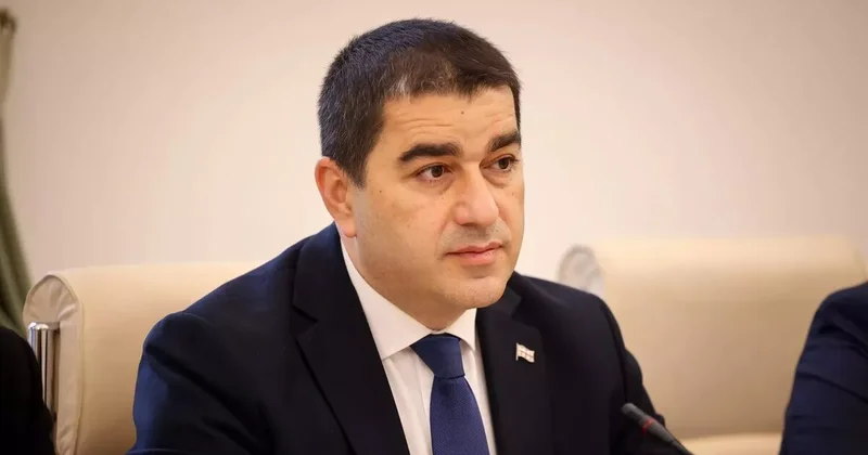 Грузия потребует ответа у Украины за недружественный инцидент
