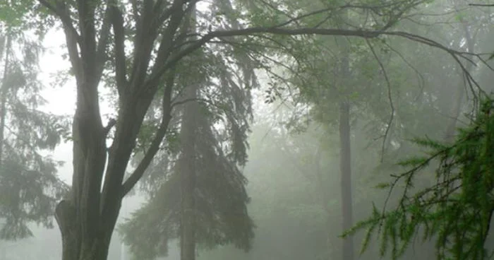Gecə duman, gündüz leysan Meteoroloqlar əhalini xəbərdar edir