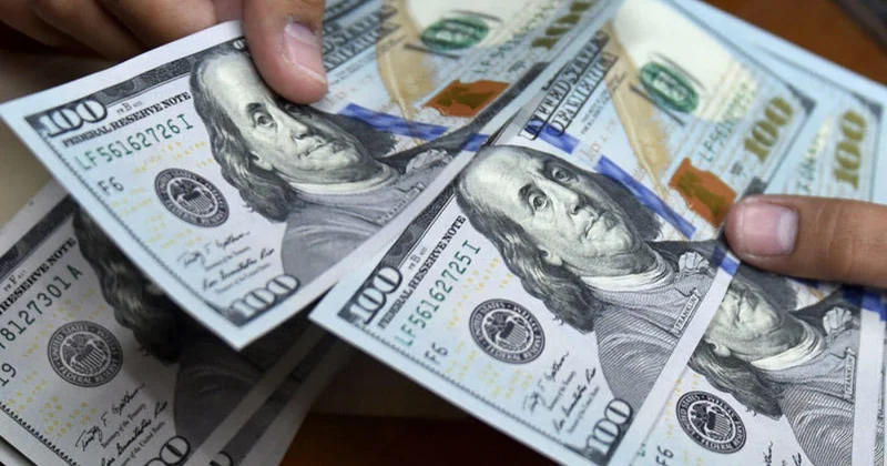 Xaricə investisiya qoyuluşundan 528 milyon dolları gəlir götürüb