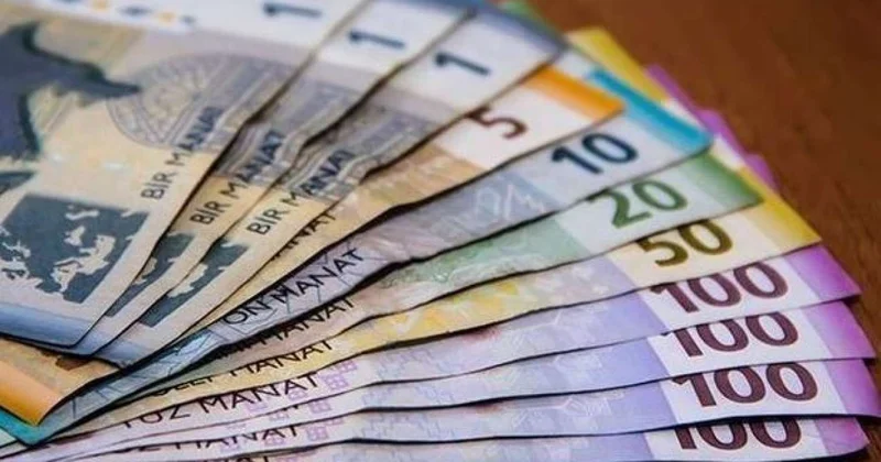 Gəlirlər azaldı, xərclər vətəndaşın cibi hesabına qarşılanır Çıxış yolu budur?