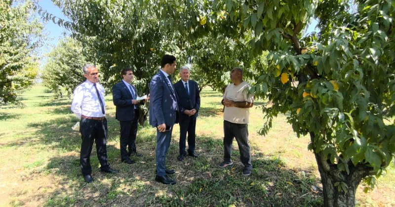 Aqrar Sığorta Fondunun sədri Şərurda vətəndaşlarla görüşüb, təsərrüfatlara baş çəkib