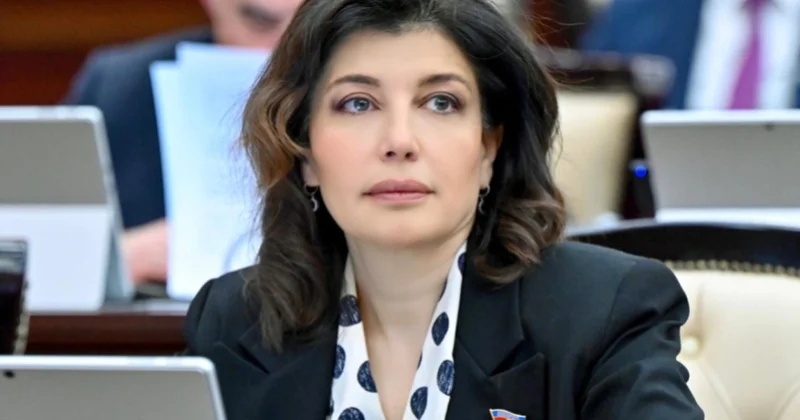 Günay Əfəndiyeva: Regionun gələcəyi beynəlxalq hüquqa və suverenliyə hörmət prinsipləri ilə qurulmalıdır