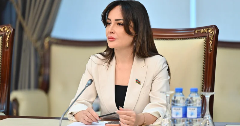 Mədəni və dini irsin dağıdılmasına selektiv yanaşma böyük təhlükələrə yol açdı
