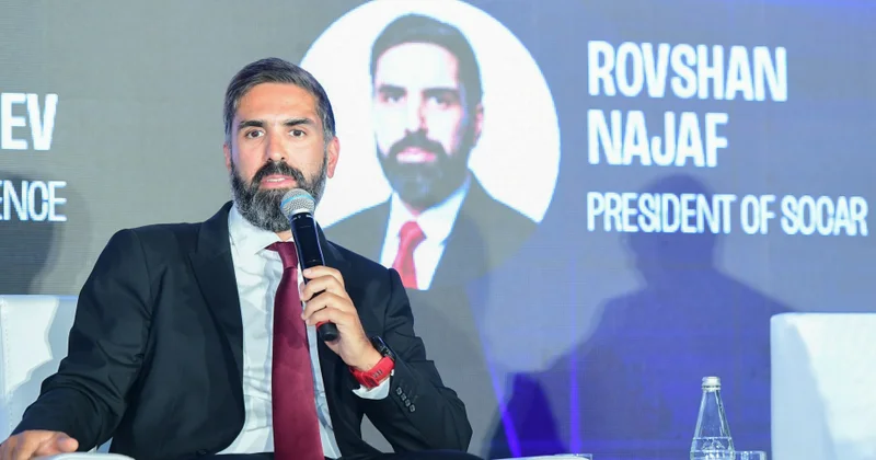 Rövşən Nəcəf: Uyğunlaşma bacarığı və ömürboyu təhsil getdikcə daha vacib olur