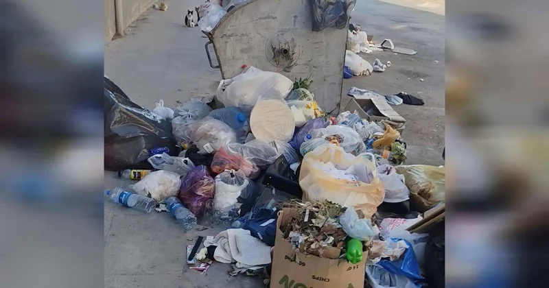 Sumqayıt zibillik içində batır: “Bura xəstəlik yuvasıdır” VİDEO