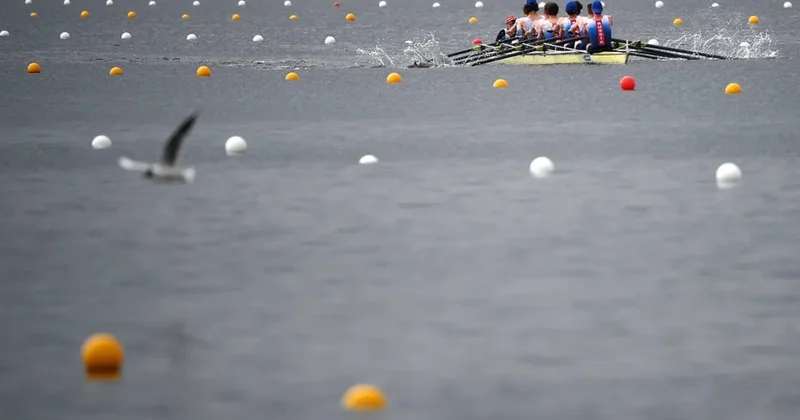 Timsahların məskunlaşdığı çayda Olimpiya yarışları keçiriləcək