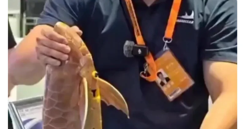 Canlısından fərqlənməyən robot balıq təqdim olundu (Video)