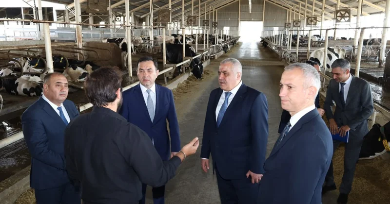 İsmayıllı rayonunda bir sıra fermer və sahibkar təsərrüfatlarına baxış keçirilib