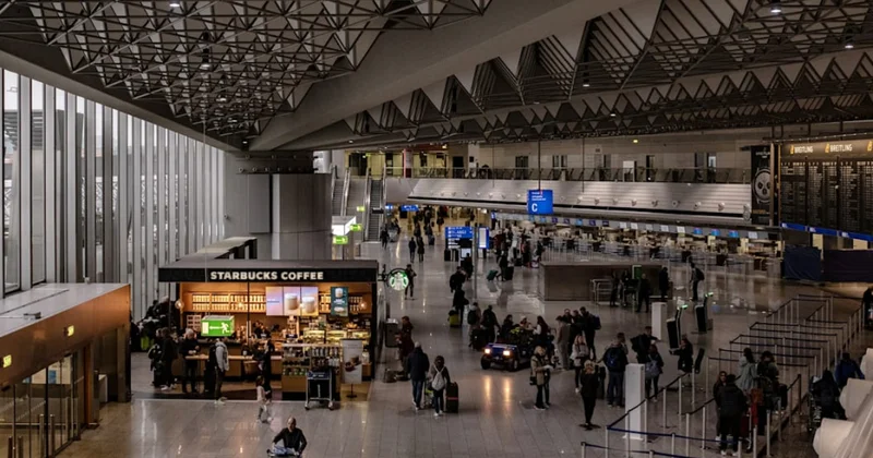 Almaniyanın Frankfurt şəhərində malyariya ilə bağlı xəbərdarlıq edilib