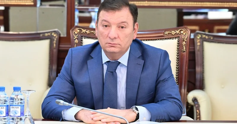 Şöbə müdiri: Sağlamlıq və müalicə yerləri ilə bağlı ayrıca qanun qəbul edilməlidir