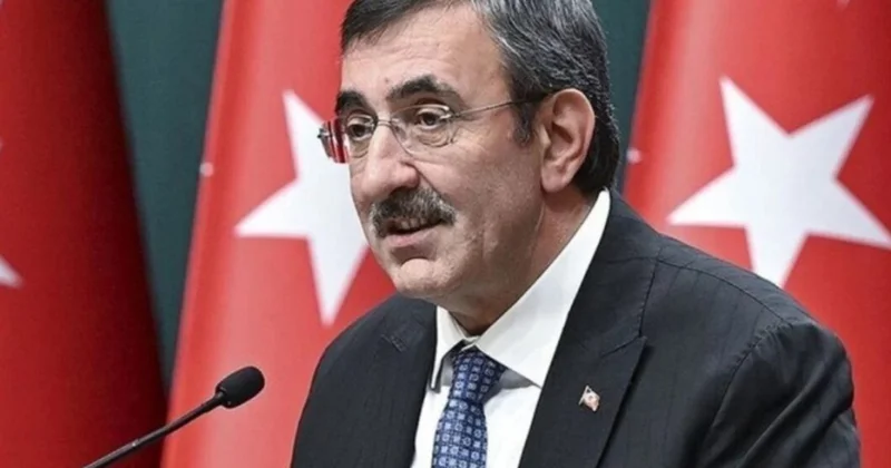 Türkiyə universitetlərində gələn ildən əcnəbi tələbələr üçün yeni imkanlar yaradılacaq