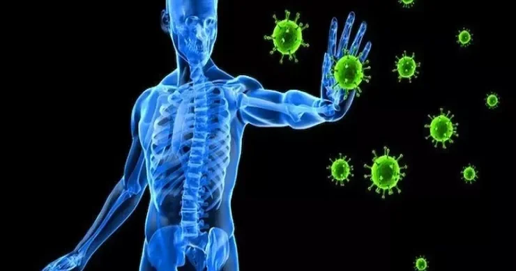 Yaşlandıqca immunitet niyə zəifləyir? Araşdırma