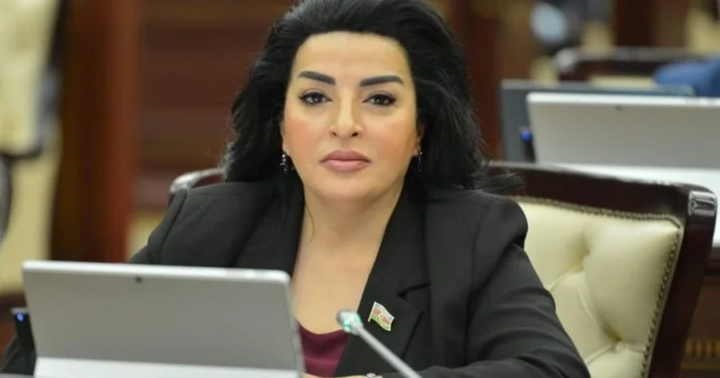 Azərbaycan sülhə, təhlükəsizliyə və regional əməkdaşlığa sadiqdir Millət vəkili