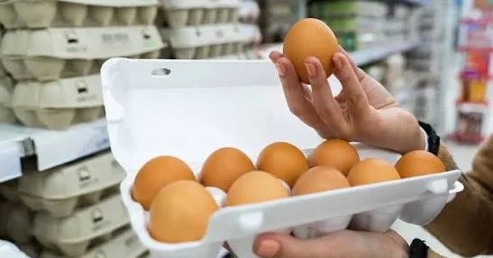 Ölkəmizdən yumurta istehsalında rekord qonşu ölkələrlə müqayisə