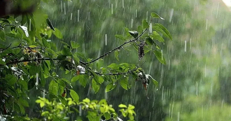 Bəzi rayonlarda yağış yağıb, şimşək çaxıb