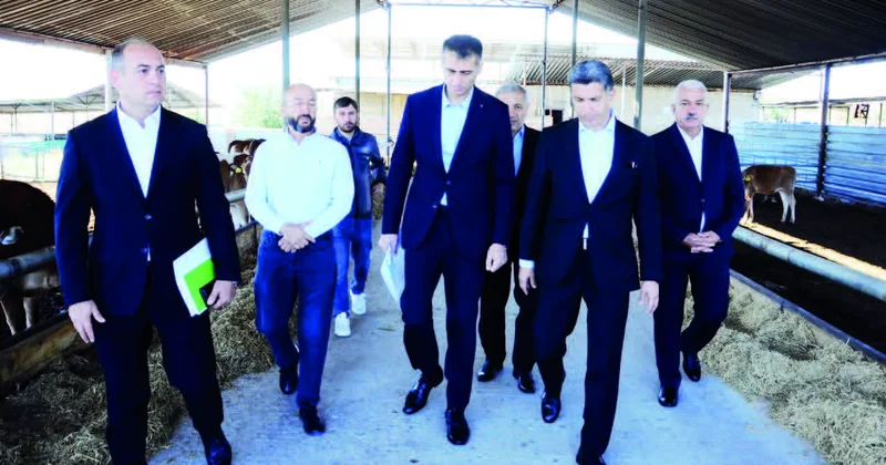 Göygöldə yeni aqrar layihələr