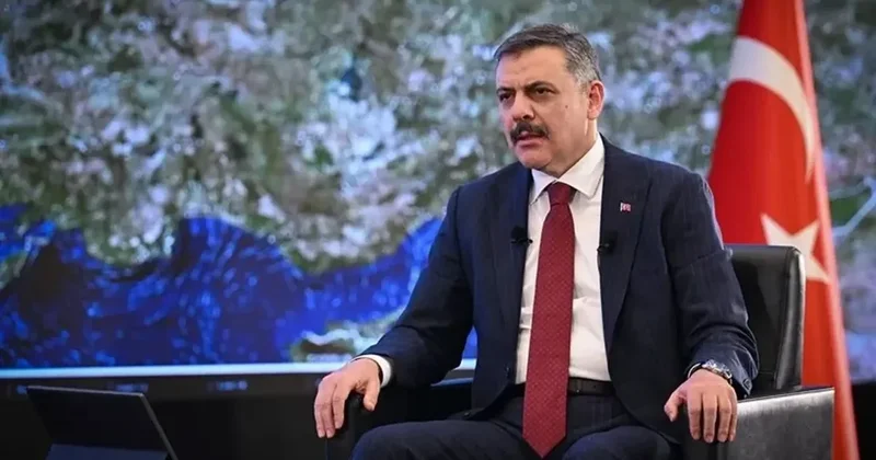 Турция, Грузия и Азербайджан создадут трехсторонний механизм по борьбе с преступностью