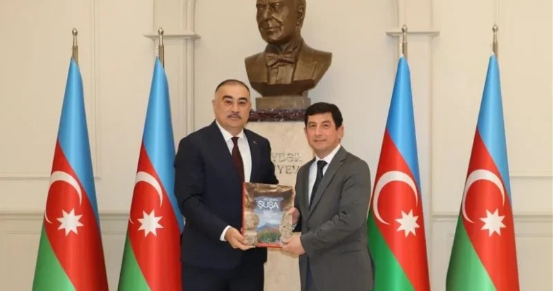 Azərbaycan və Türkiyə arasında TDT daxilində əməkdaşlıq müzakirə edilib