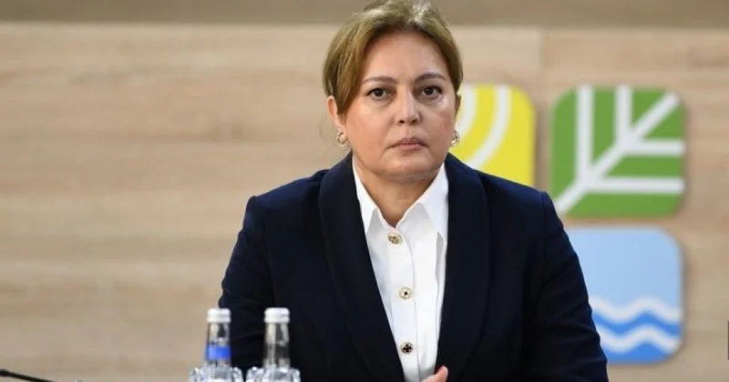 10 ildə Bakıda istilik səviyyəsi artıb