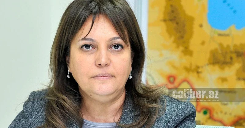 Умайра Тагиева: Когда температура воздуха в Баку превышает 36 градусов, смертность резко возрастает