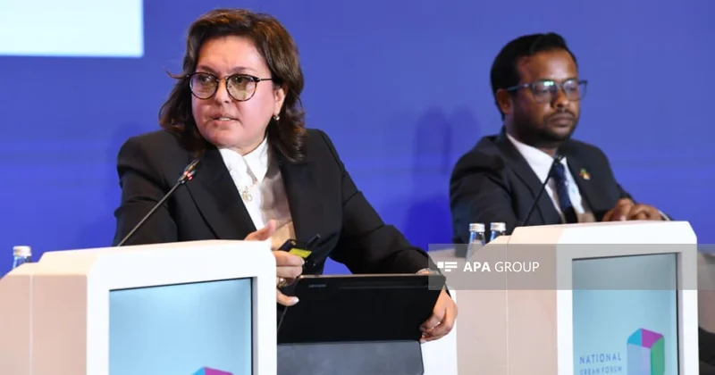 Nazirlik: 10 ildə Bakı və Şəkidə istilik dalğaları əhəmiyyətli artıb