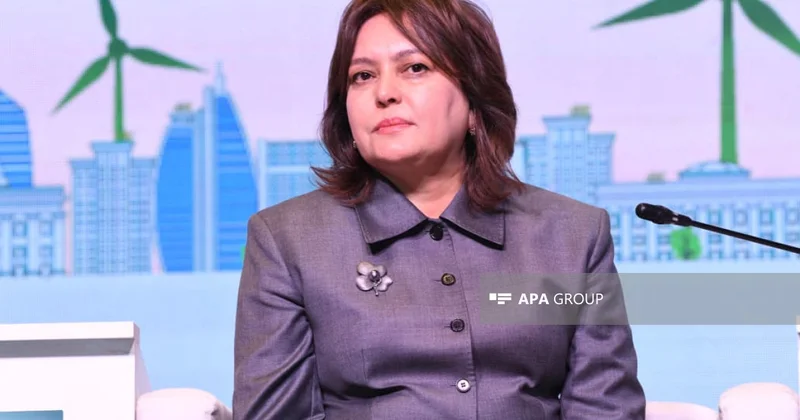 Umayra Tağıyeva: Azərbaycan Enerji və İqlim Mərkəzinə ev sahibliyi etməyə hazırdır