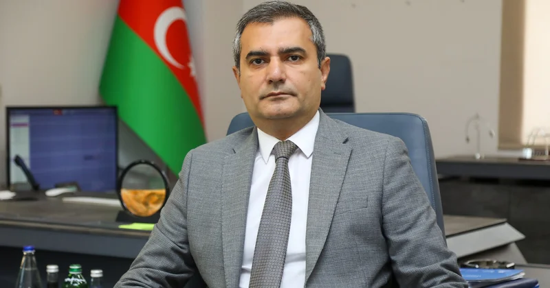 Saxta audit hesabatları İqtisadiyyata görünməyən ZƏRBƏ