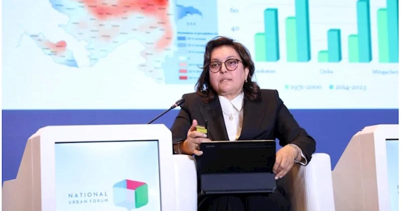 Umayra Tağıyeva: Azərbaycanda çoxriskli erkən xəbərdarlıq sistemi yaradılacaq